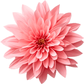 flor